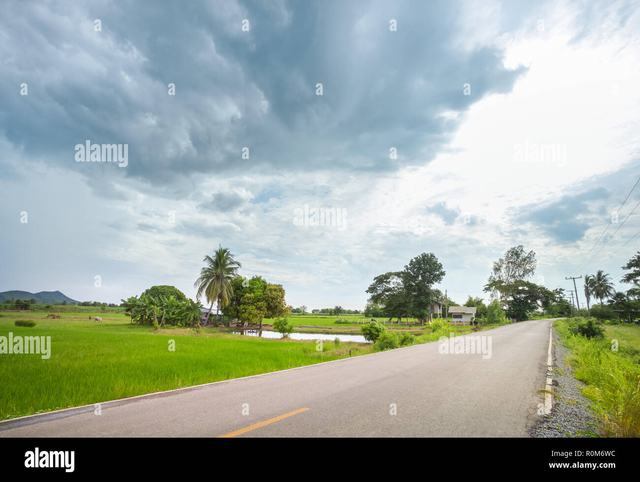 Strada di campagna con campo di riso nel giorno nuvoloso, Provincia di Sukhothai, Thailandia Foto Stock