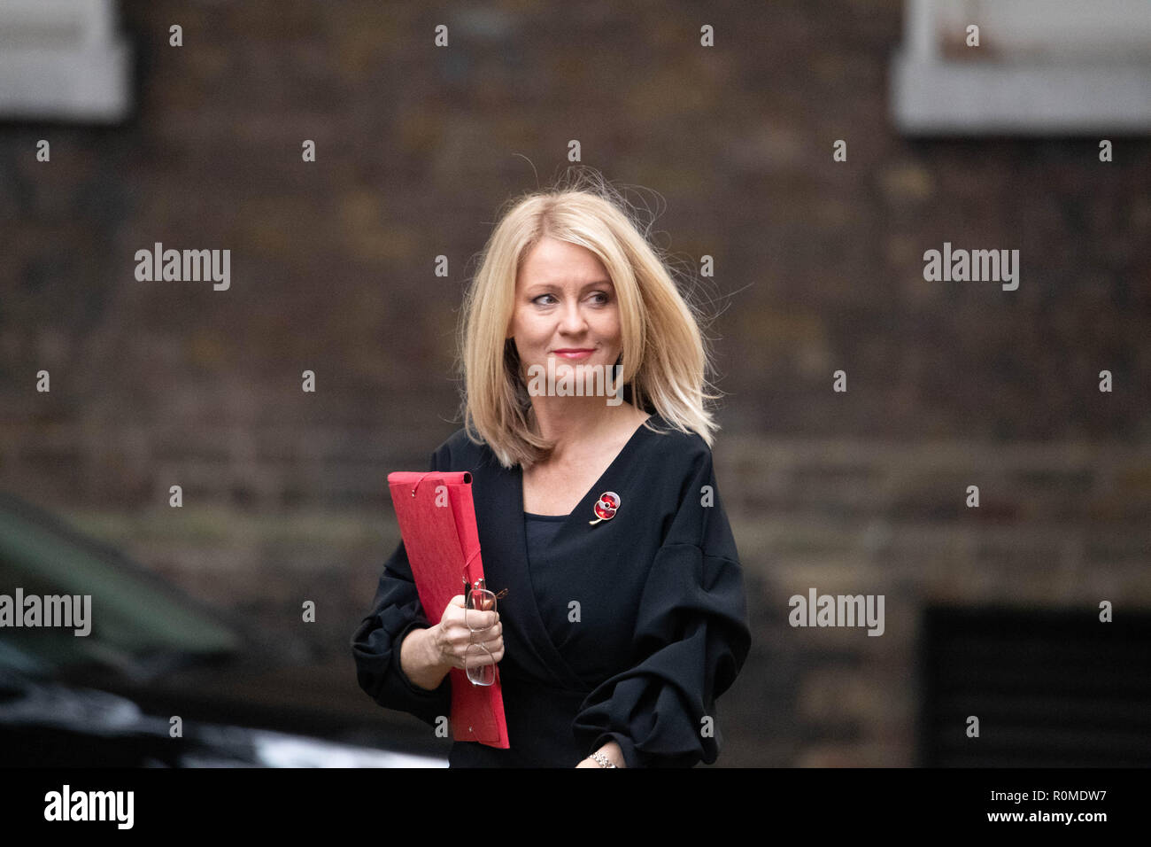 Londra, Regno Unito. 6 novembre 2018, Esther McVey MP PC il lavoro e le pensioni Segretario arriva in una riunione del gabinetto a 10 Downing Street, Londra, Regno Unito. Credit Ian Davidson/Alamy Live News Foto Stock
