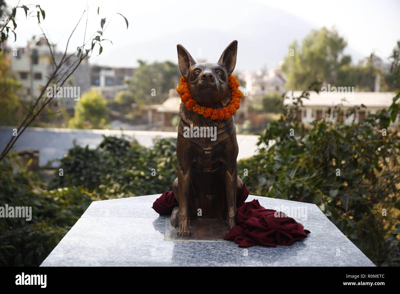 Kathmandu, Nepal. 6 Nov, 2018. Una statua di un cane di polizia è inaugurata durante ''Kukkur Tihar è " il cane adorando festival il secondo giorno dei cinque giorni di Tihar è lunga festival, chiamato anche Diwali presso la polizia di addestramento del cane Scuola in Kathmandu, Nepal Martedì, Novembre 06, 2018. Credito: Skanda Gautam/ZUMA filo/Alamy Live News Foto Stock