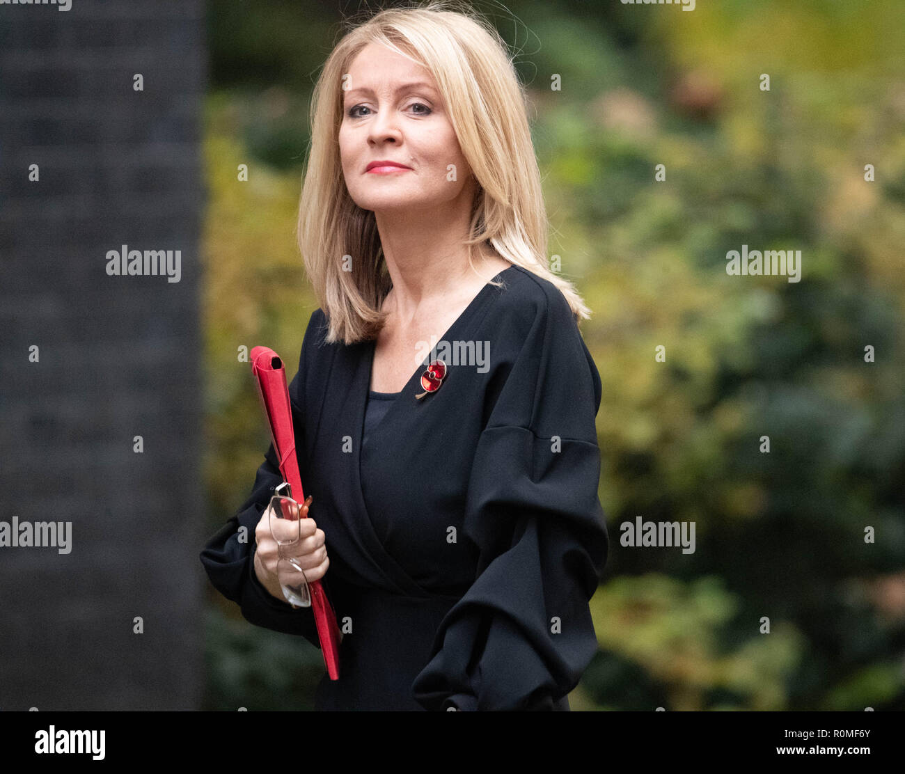 Londra, Regno Unito. 6 novembre 2018, Esther McVey MP PC il lavoro e le pensioni Segretario arriva in una riunione del gabinetto a 10 Downing Street, Londra, Regno Unito. Credit Ian Davidson/Alamy Live News Foto Stock