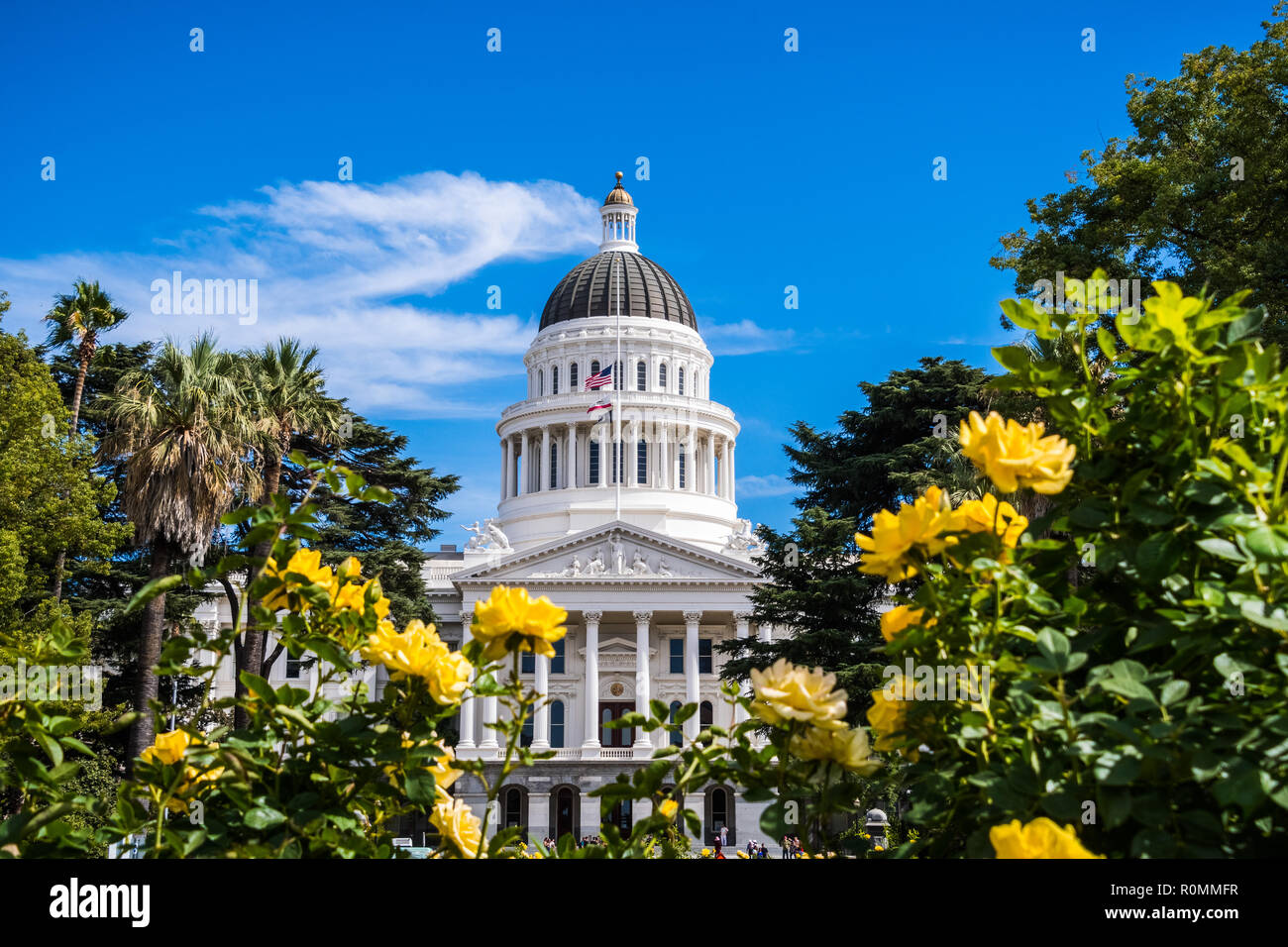 California State Capitol Building, Sacramento, California; giornata soleggiata; bellissime rose giallo in primo piano Foto Stock