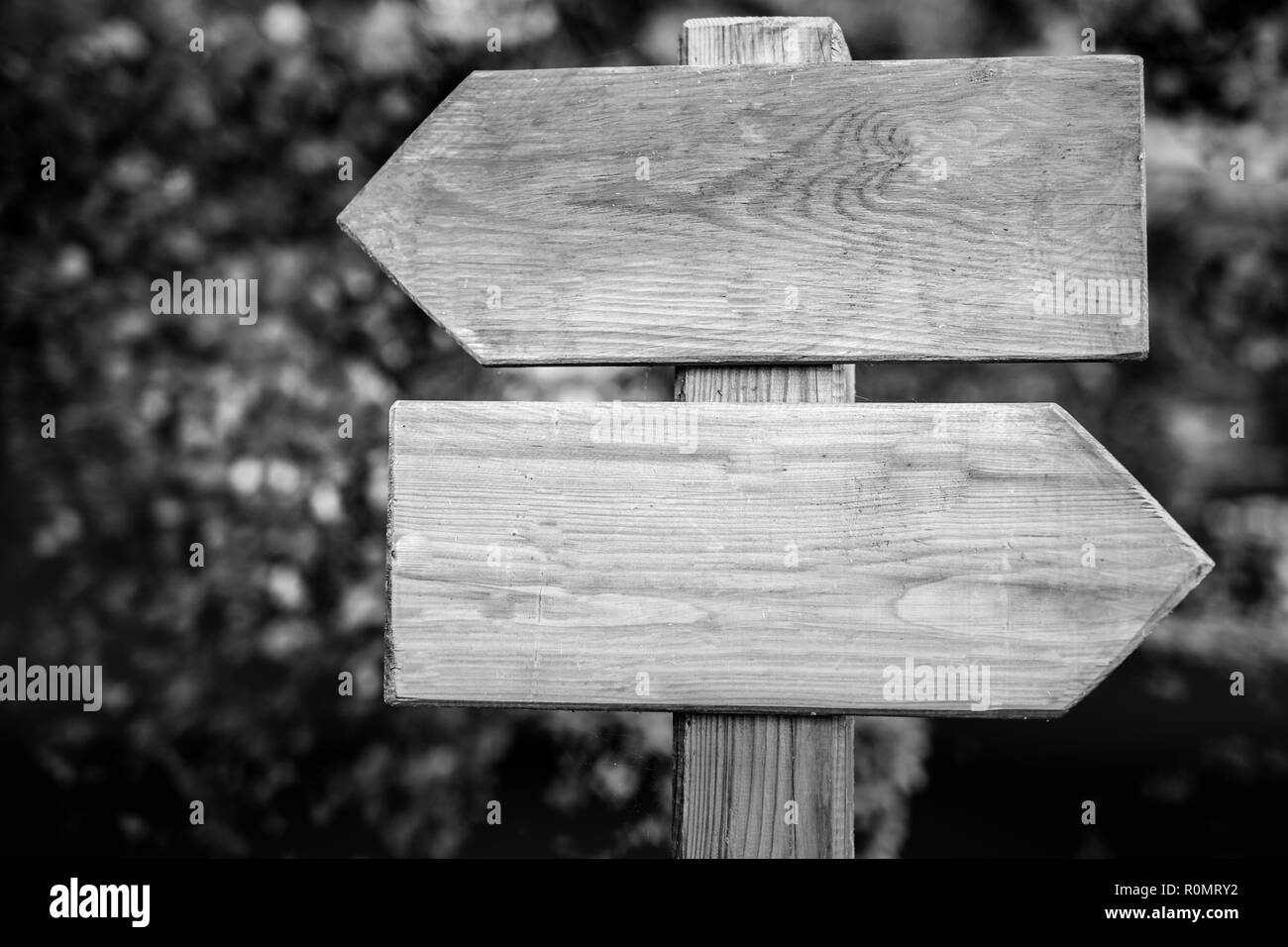 Segnaletica in legno nella foresta per direzione, closeup frecce in legno di puntamento direzioni separate Foto Stock