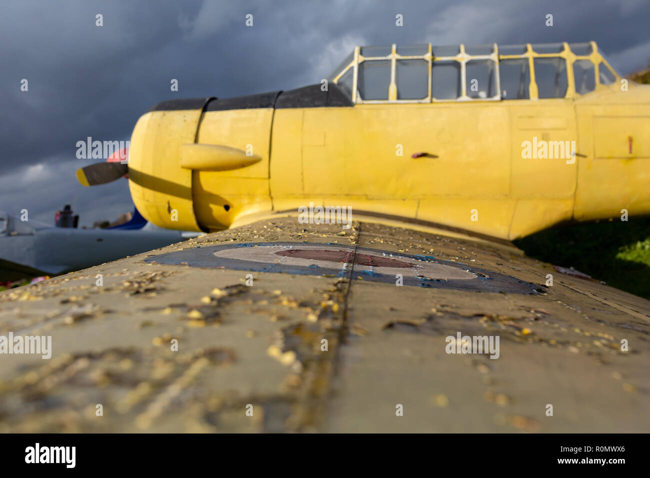 Fotografia a colori della Harvard 11B elica aereo da combattimento incentrato sulla raf roundel shot con profondità di campo ridotta. Foto Stock