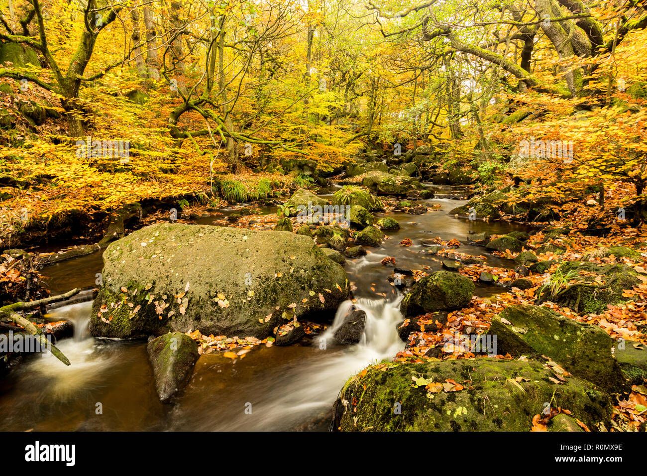 Padley Gorge il letto del fiume in autunno. Foto Stock