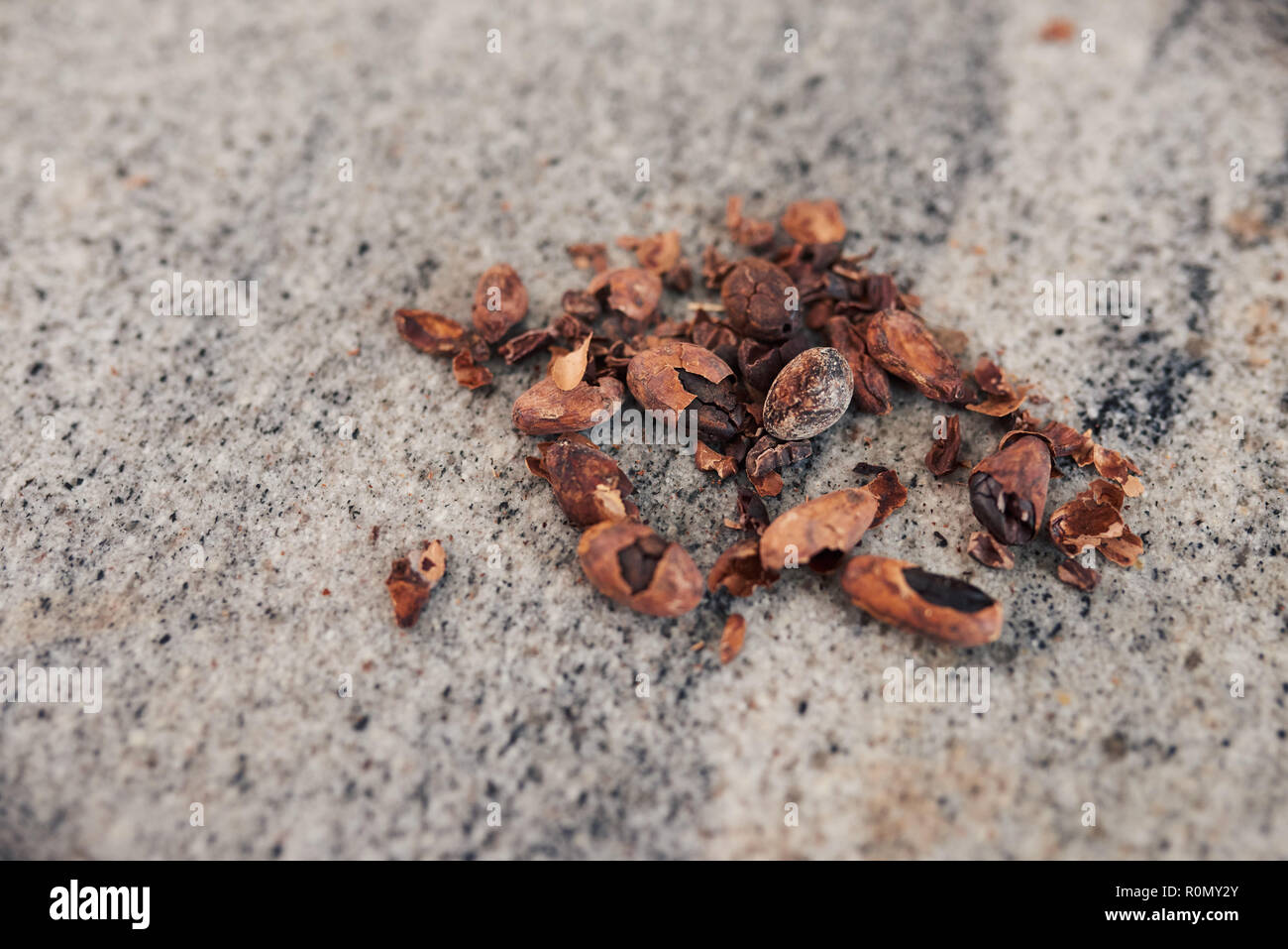 Le fave di cacao e le mandorle decorticate su una produzione del cioccolato tabella di fabbrica Foto Stock