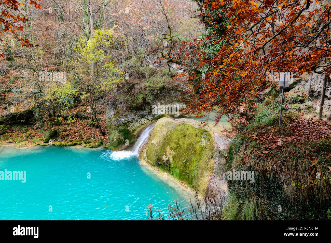 L'acqua turchese nella sorgente dell'Urederra Fiume Parco naturale Urbasa-Andia, Baquedano, Navarra, Spagna, Europa Foto Stock