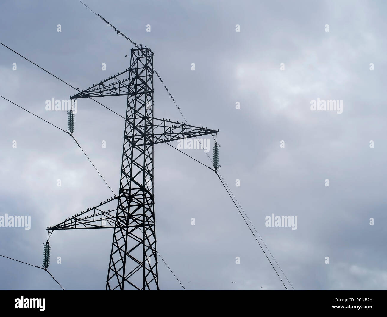 Gli uccelli di migrazione raccogliere su di una linea elettrica ad alta tensione, pilone, in autunno. Foto Stock