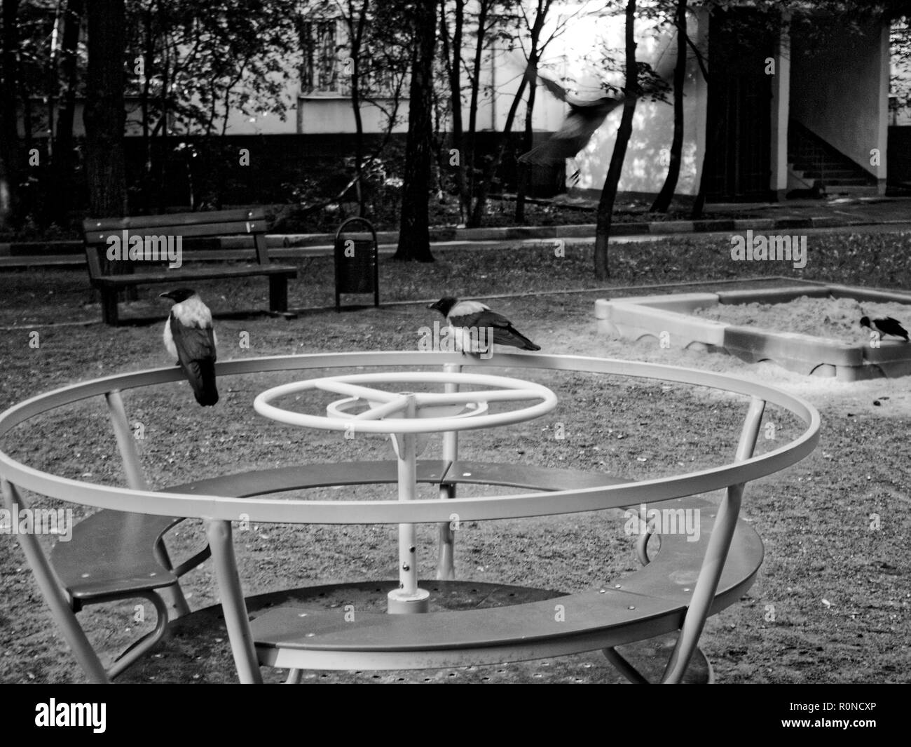 I corvi nel parco giochi del mattino, Mosca Foto Stock