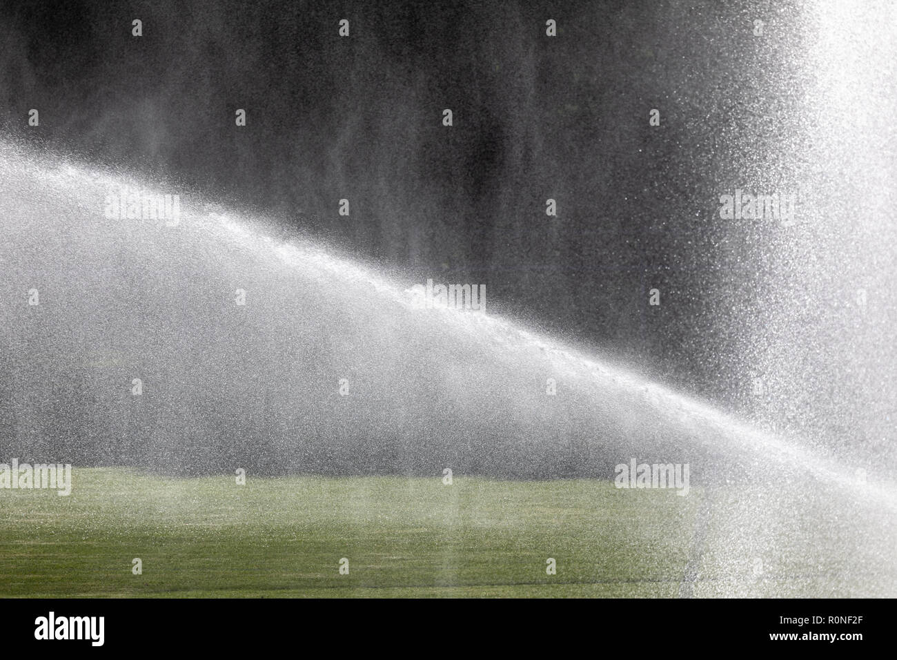Il sistema di sprinkler lavorando sul fresco verde erba sul gioco del calcio (calcio) Stadium Foto Stock