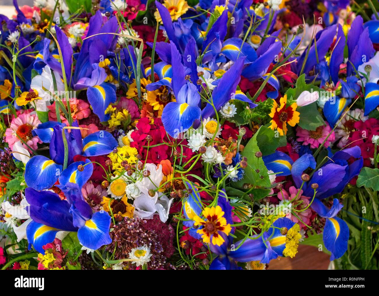 Bouquet di fiori a disposizione per la vendita sul mercato degli agricoltori Foto Stock