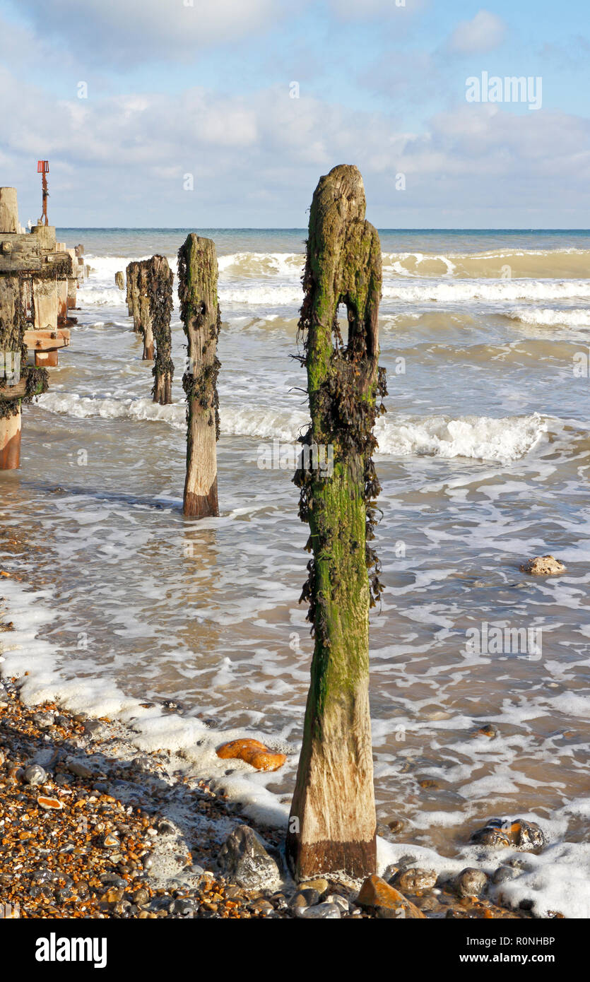 Una linea di vecchi weathered frangiflutti posti sulla spiaggia a Overstrand, Norfolk, Inghilterra, Regno Unito, Europa. Foto Stock