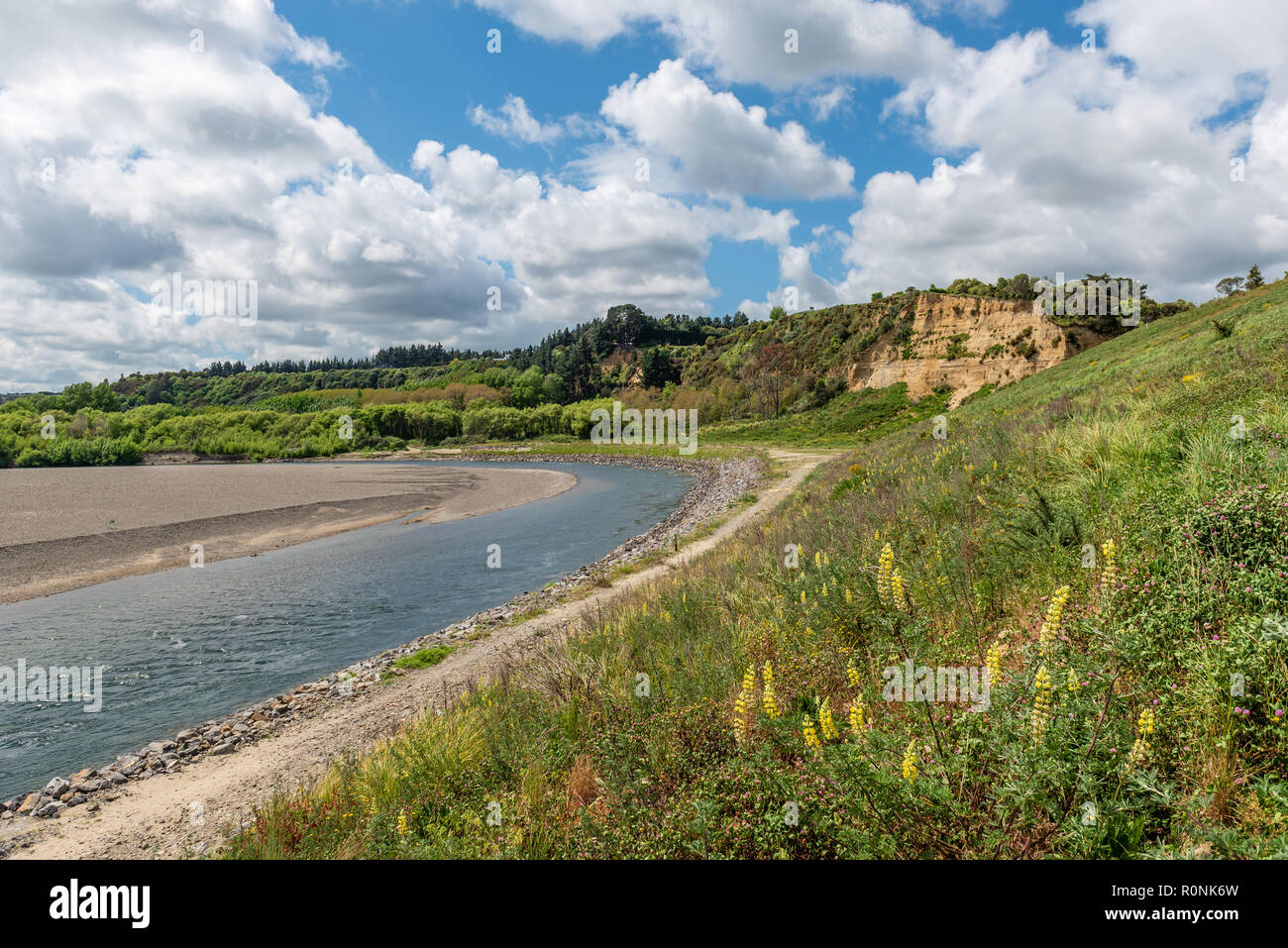 Manawatu Affitto fiume che scorre attraverso la rigogliosa campagna di Palmerston North, Nuova Zelanda Foto Stock