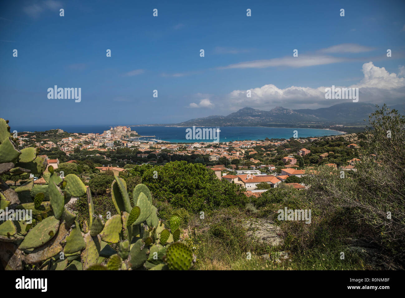 Vue de Calvi depuis les hauteurs, Corse, Francia Foto Stock