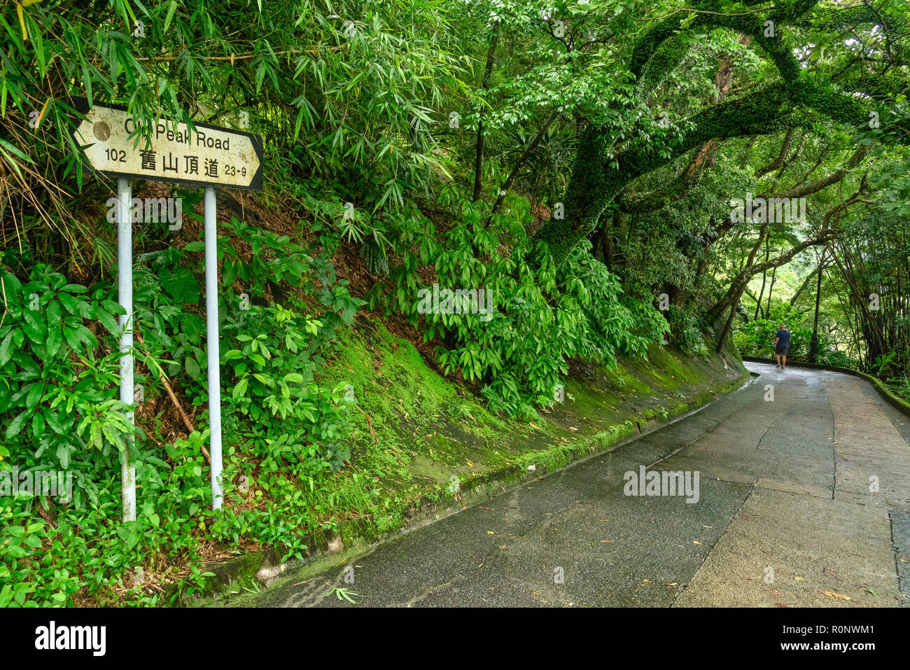 Uomo che cammina lungo la vecchia strada di picco, Hong Kong, Cina Foto Stock