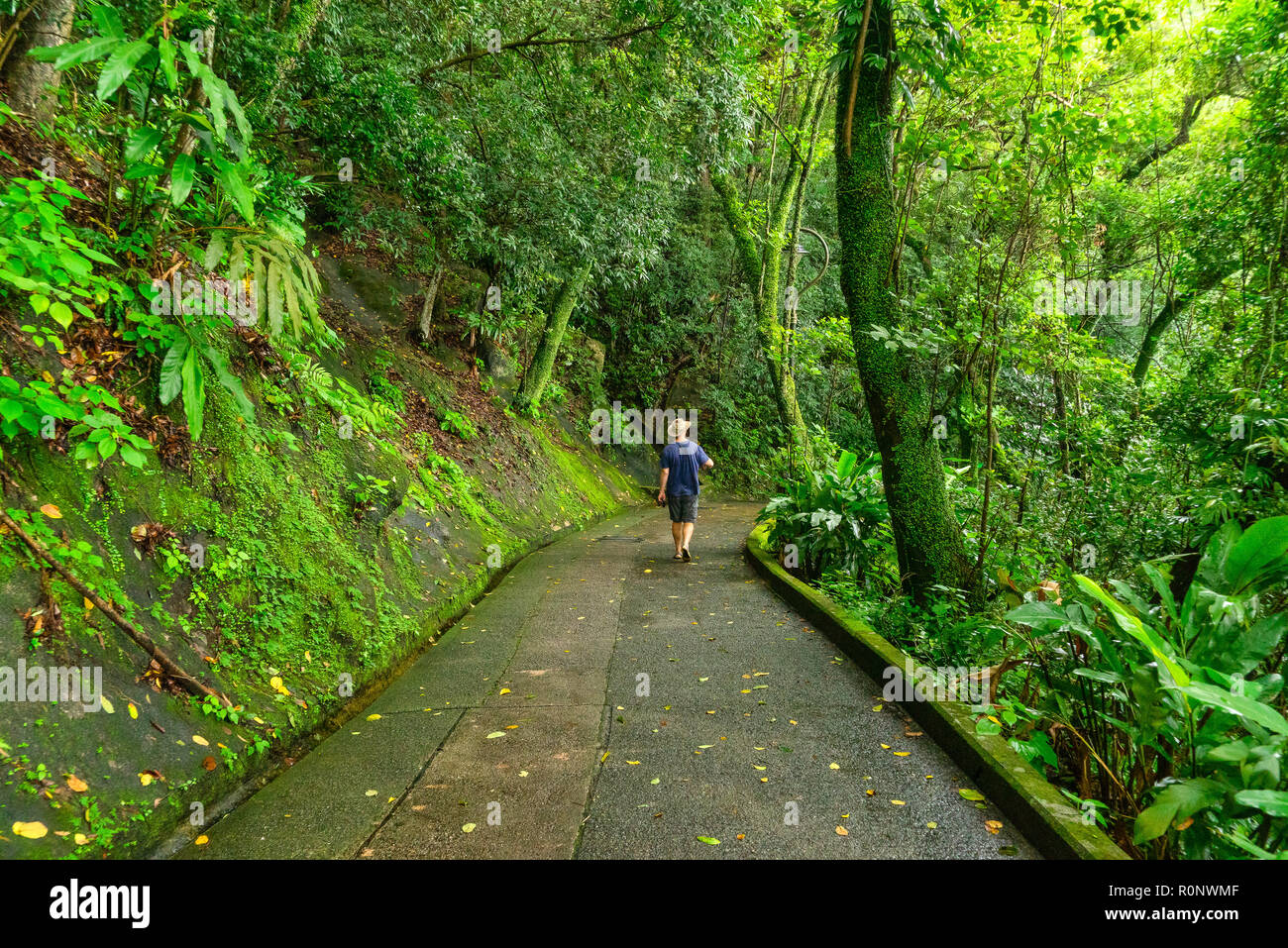 Uomo che cammina lungo la vecchia strada di picco, Hong Kong, Cina Foto Stock