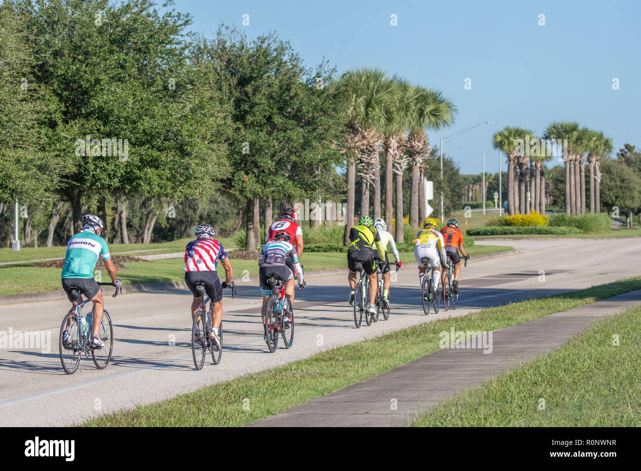 Gruppo di coloratissimi ciclisti in fila su una strada nel sud-ovest della Florida, Stati Uniti Foto Stock