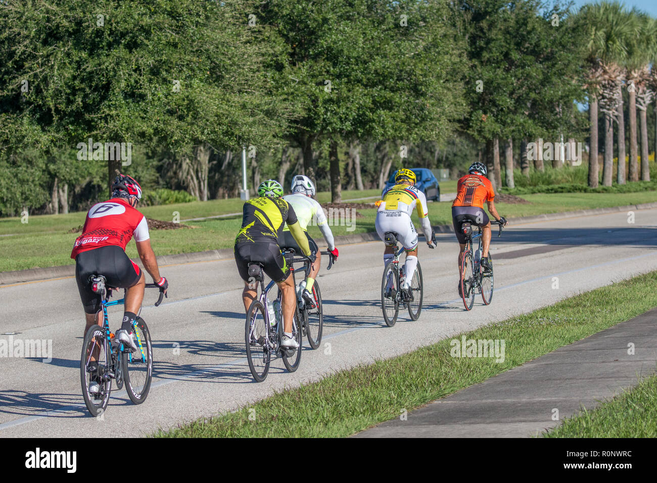 Gruppo di coloratissimi ciclisti in fila su una strada nel sud-ovest della Florida, Stati Uniti Foto Stock