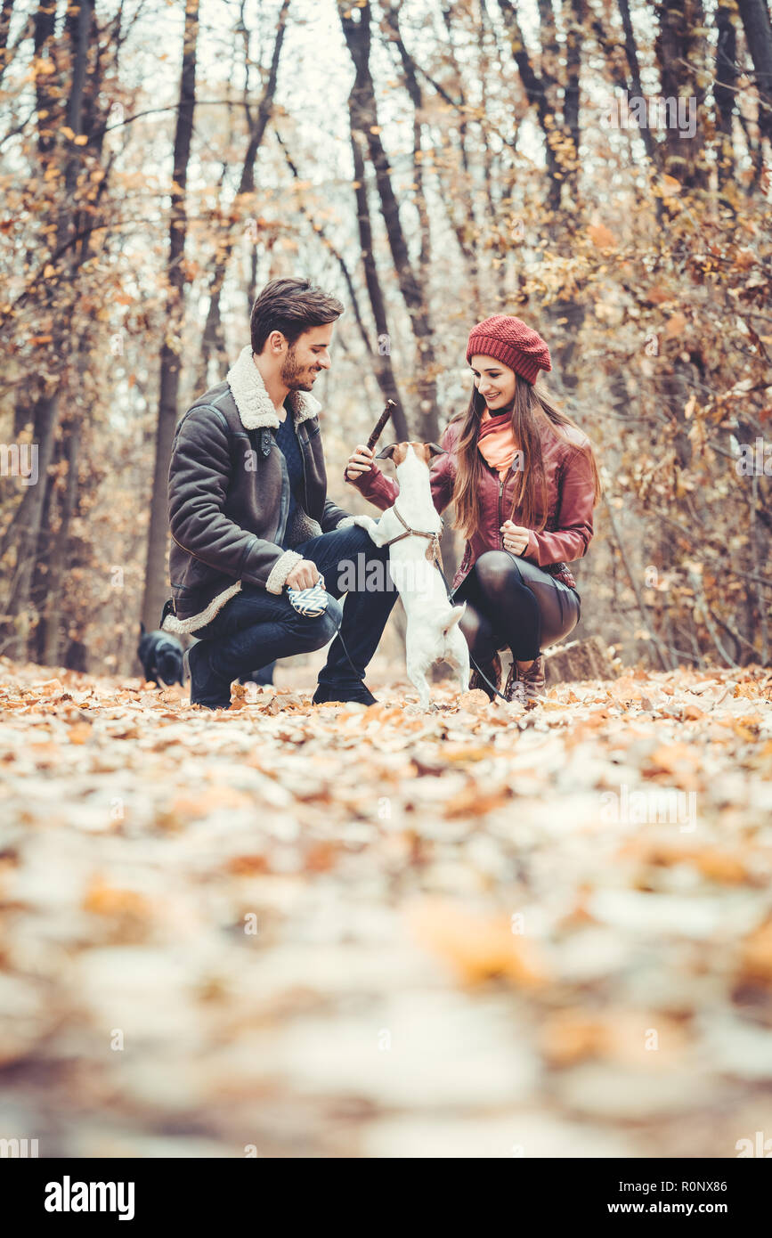 Matura in caduta avente la passeggiata con il cane in un parco Foto Stock