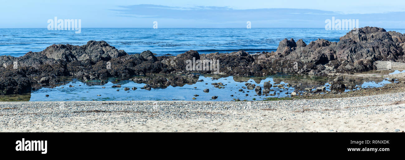 Rocky Pool di marea, esperimento Beach, Cape Scott Provincial Park, l'isola di Vancouver, British Columbia, Canada Foto Stock