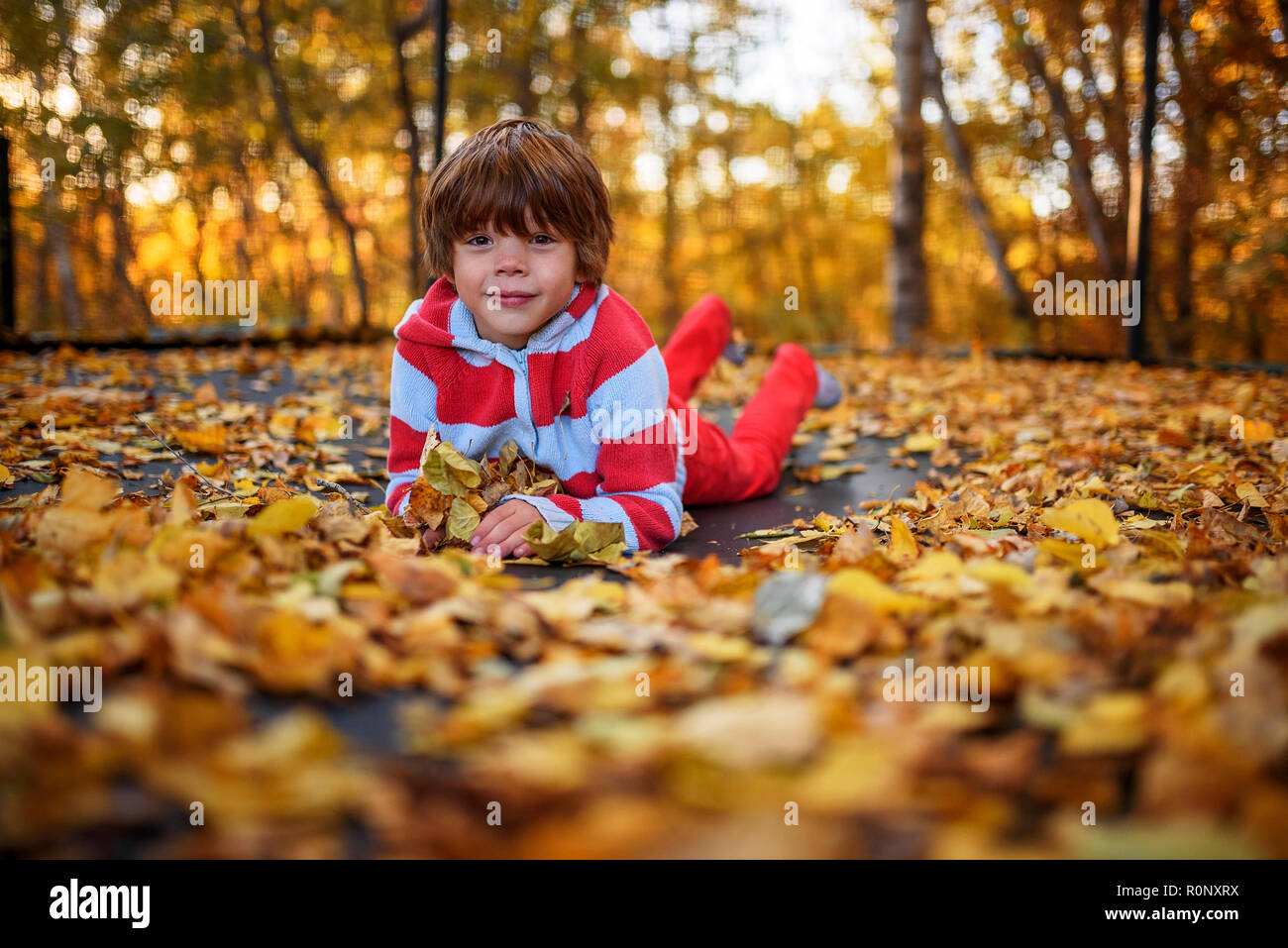 Ritratto di un ragazzo sorridente giacente su un trampolino coperto di foglie di autunno, Stati Uniti Foto Stock