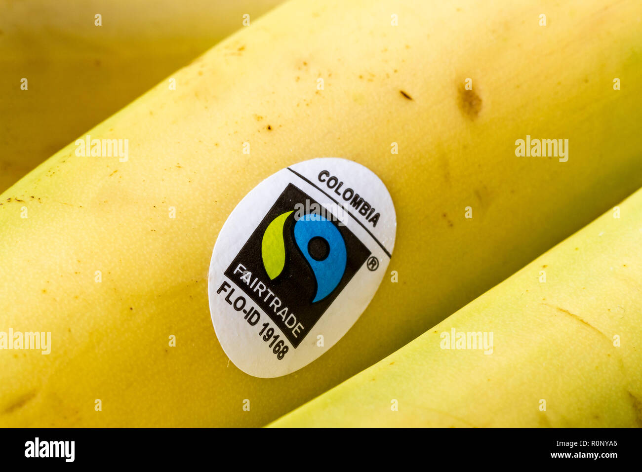 Fairtrade sticker etichetta sul banane colombiano, primo piano Foto Stock