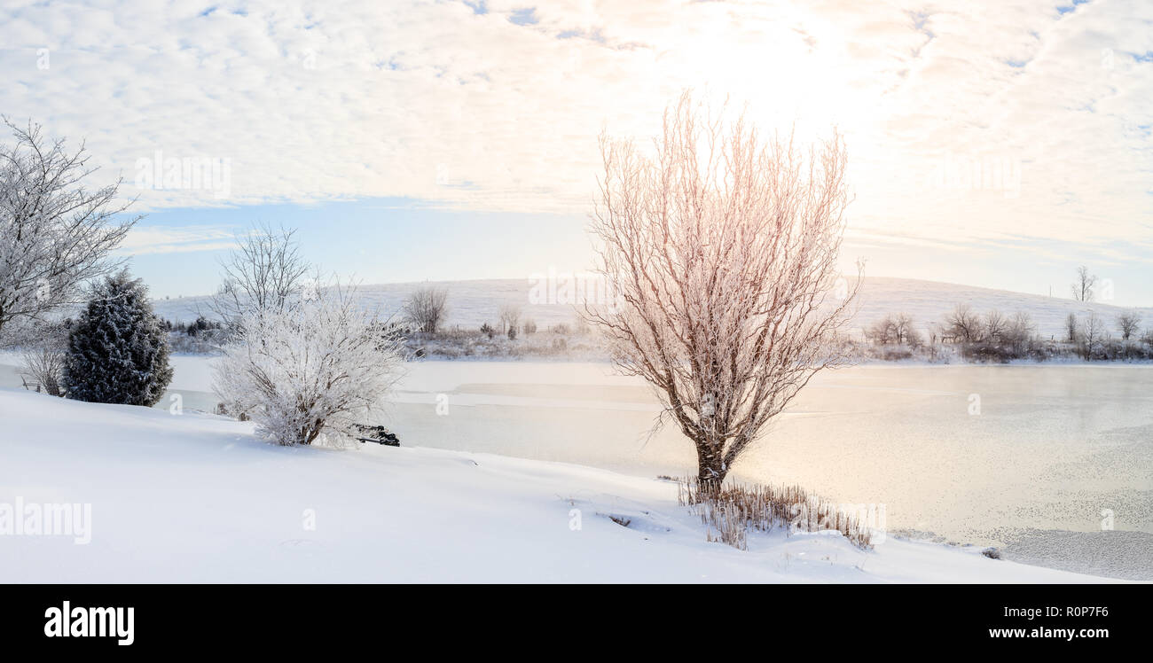 Bella mattinata invernale su un piccolo lago vicino a Georgetown, Kentucky Foto Stock