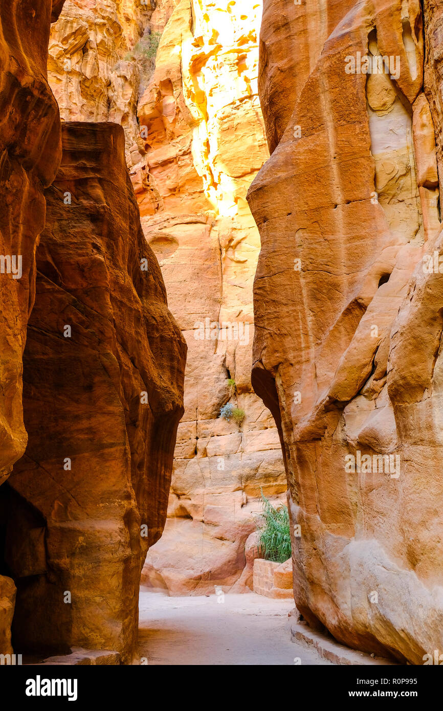Petra Wadi Mousa, Regno Hascemita di Giordania Foto Stock