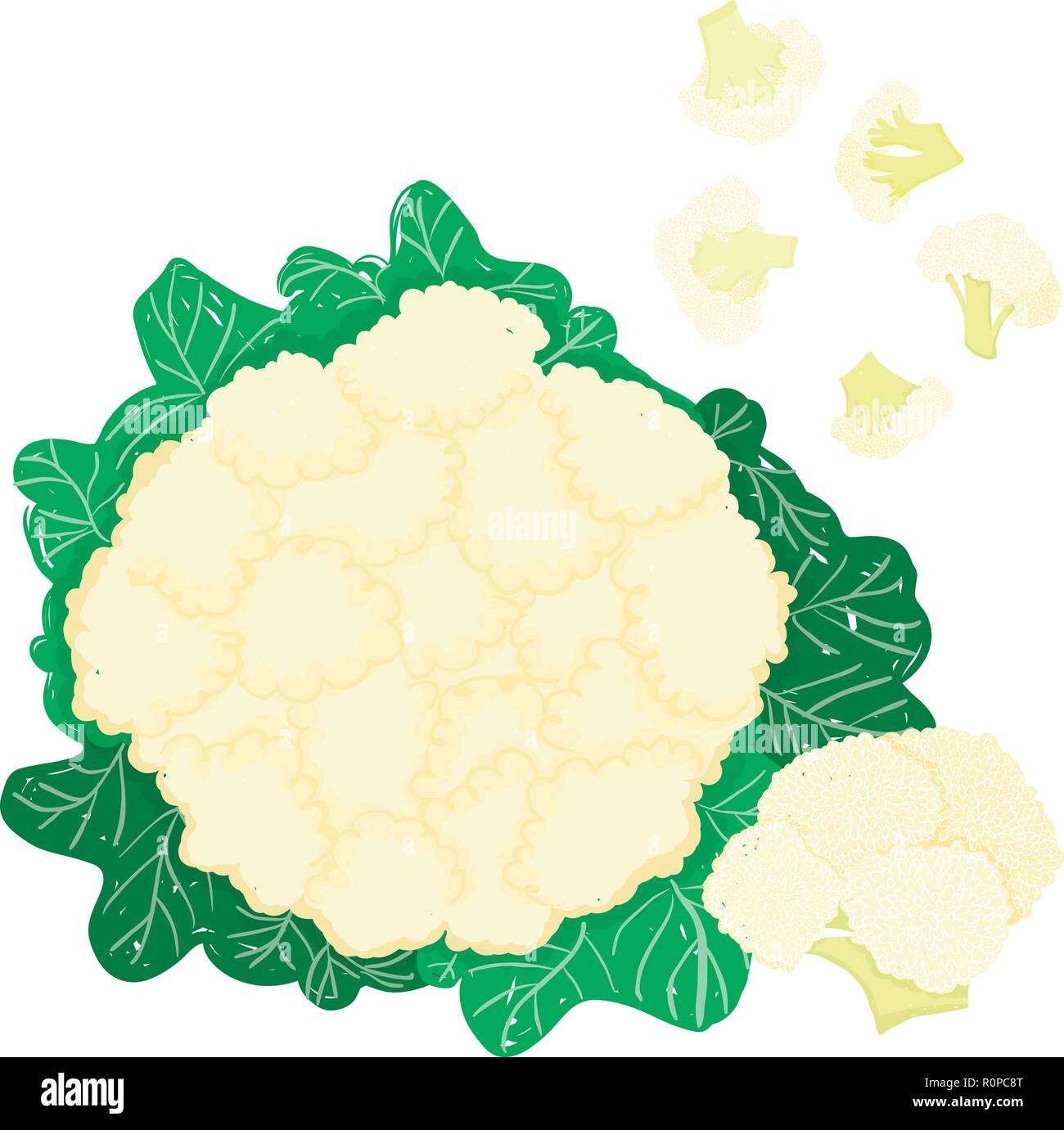 Vettore set pittorica con tutto il cavolfiore e piccoli pezzi modificabile, illustrazione scalabili, isolata su uno sfondo bianco. Utilizzarlo per ricette Illustrazione Vettoriale