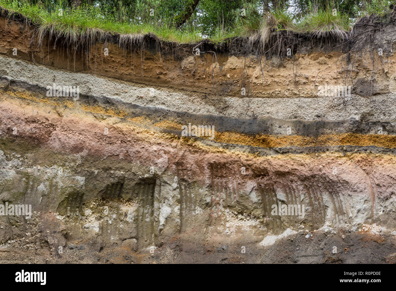 Strati misti di sedimenti di origine vulcanica, Iztaccihuatl Popocatepetl National Park, Messico, America del Nord Foto Stock