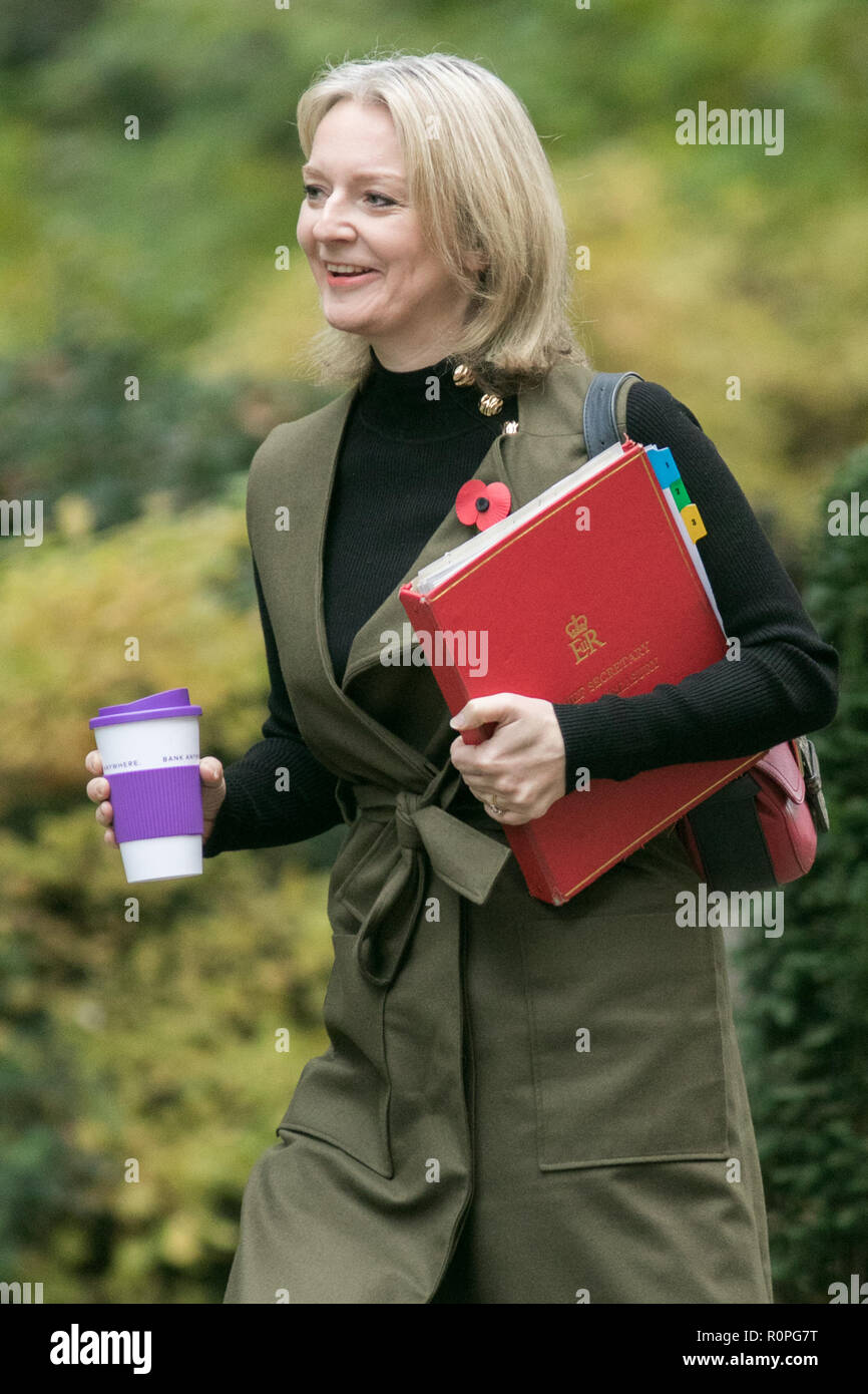 Londra REGNO UNITO. Il 6 novembre 2018. Elizabeth Truss MP, Primo Segretario al Tesoro arriva a Downing Street per la riunione di gabinetto Credito: amer ghazzal/Alamy Live News Foto Stock