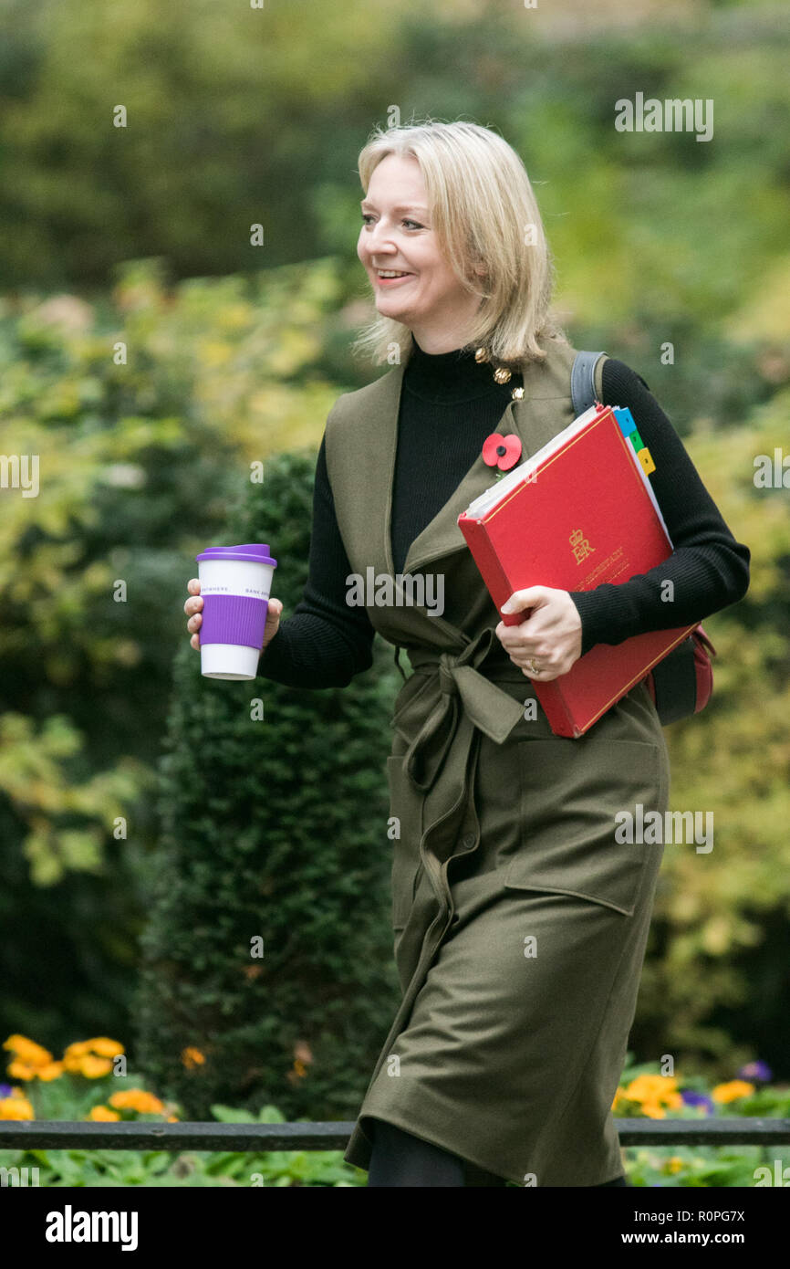 Londra REGNO UNITO. Il 6 novembre 2018. Elizabeth Truss MP, Primo Segretario al Tesoro arriva a Downing Street per la riunione di gabinetto Credito: amer ghazzal/Alamy Live News Foto Stock