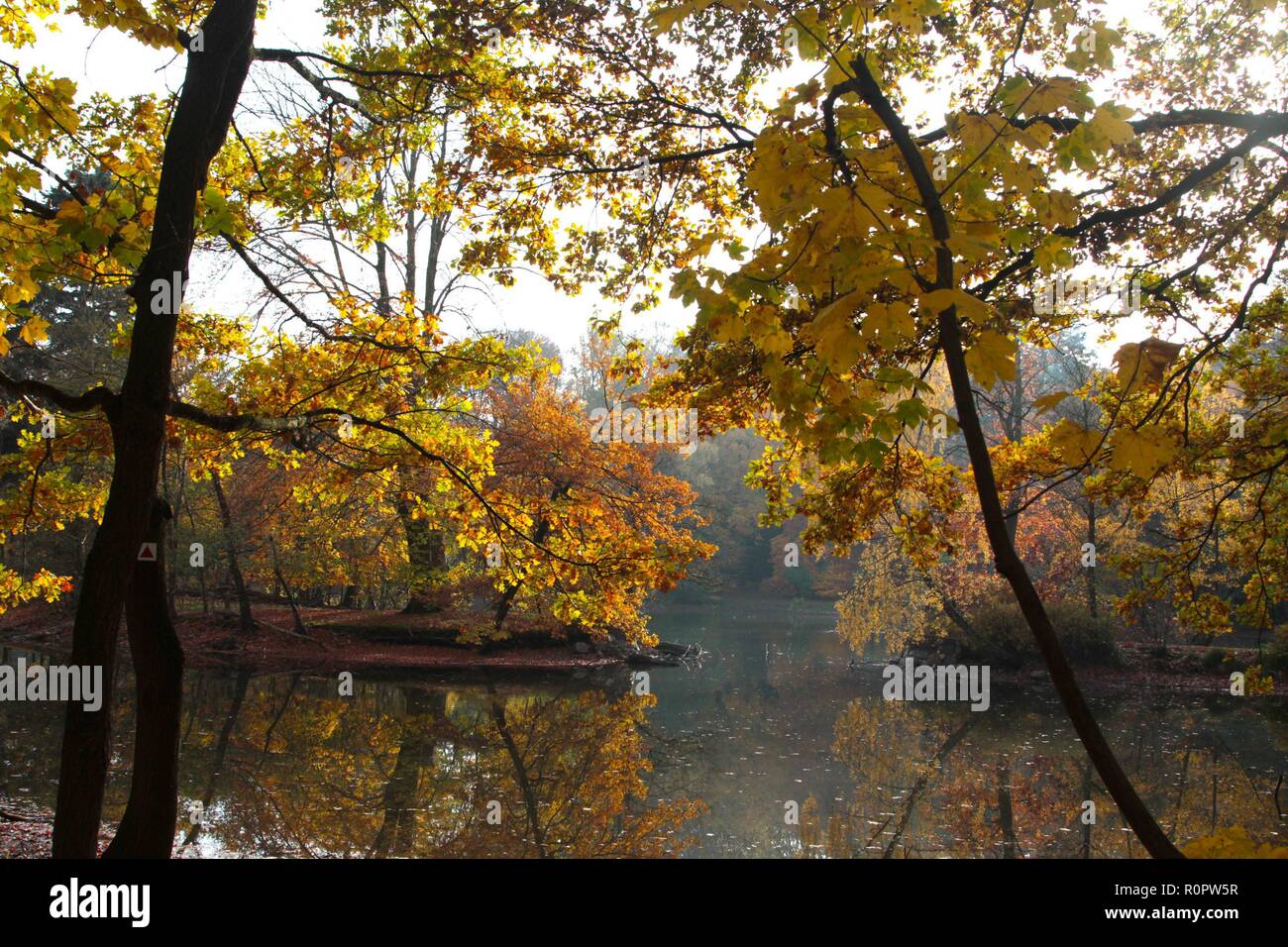 Simbolo Jahreszeit Herbst Herbstwald Spaziergang Laub