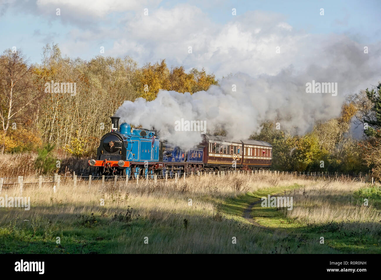 Caledonian speciale treno ferroviario con motori 419 & 828 & Caledonian allenatori di Bo'ness & Kinneil Railway Gala vapore 2018 Bo'ness Falkirk Regno Unito Scozia Foto Stock