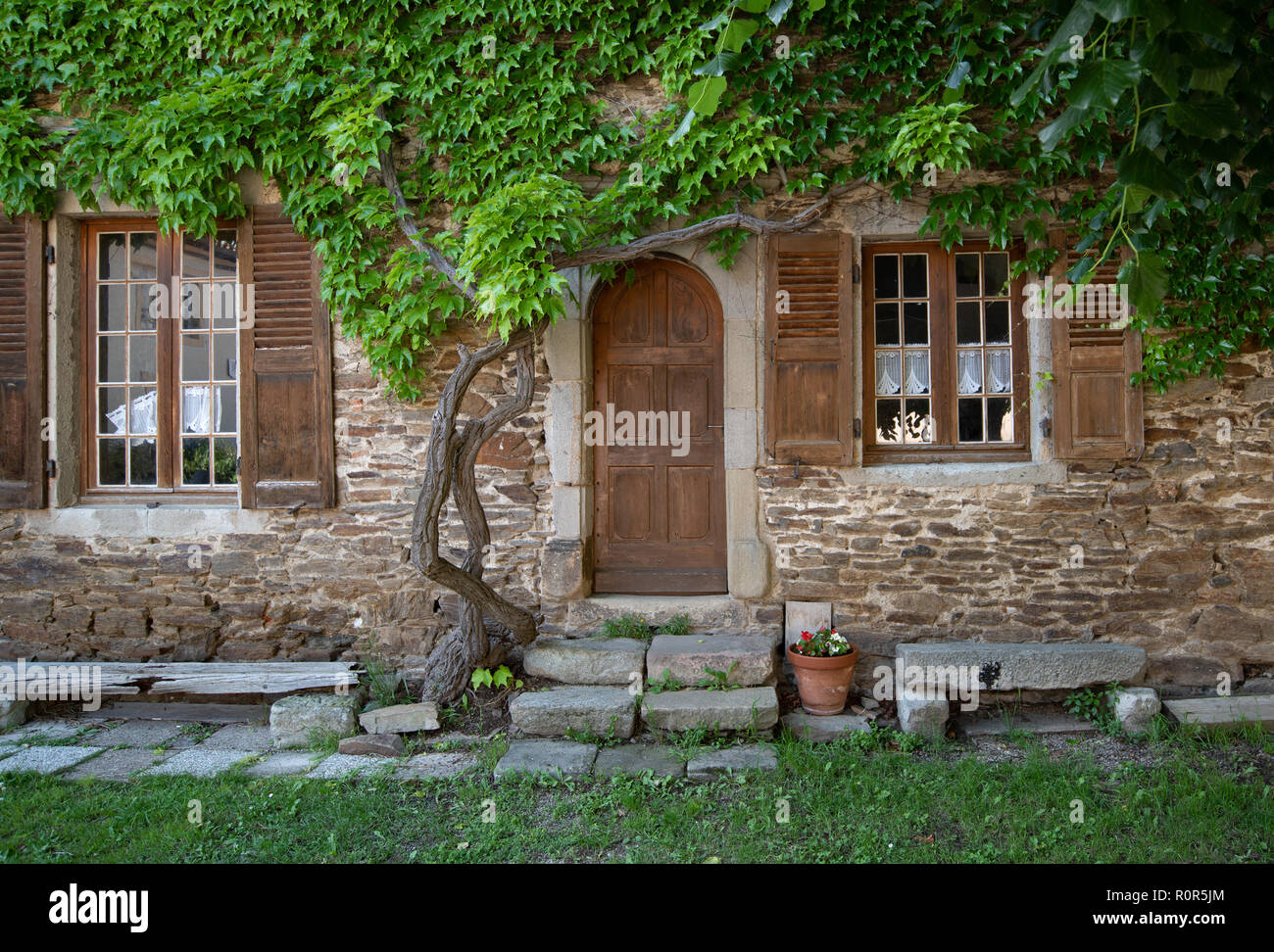 La porta di ingresso di una casa nel pittoresco villaggio francese di Sainte-Croix-en-Jarez, incorniciato da un glicine superriduttore su un casuale macerie muro medievale Foto Stock