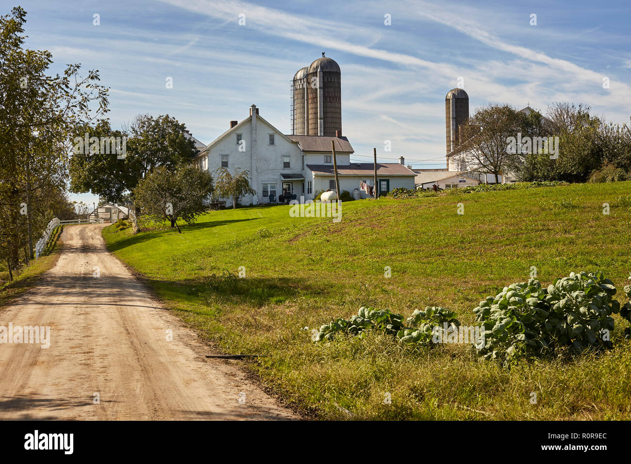 Azienda agricola sterrata lane, Pennsylvania Dutch Country, Lancaster County, Pennsylvania, STATI UNITI D'AMERICA Foto Stock