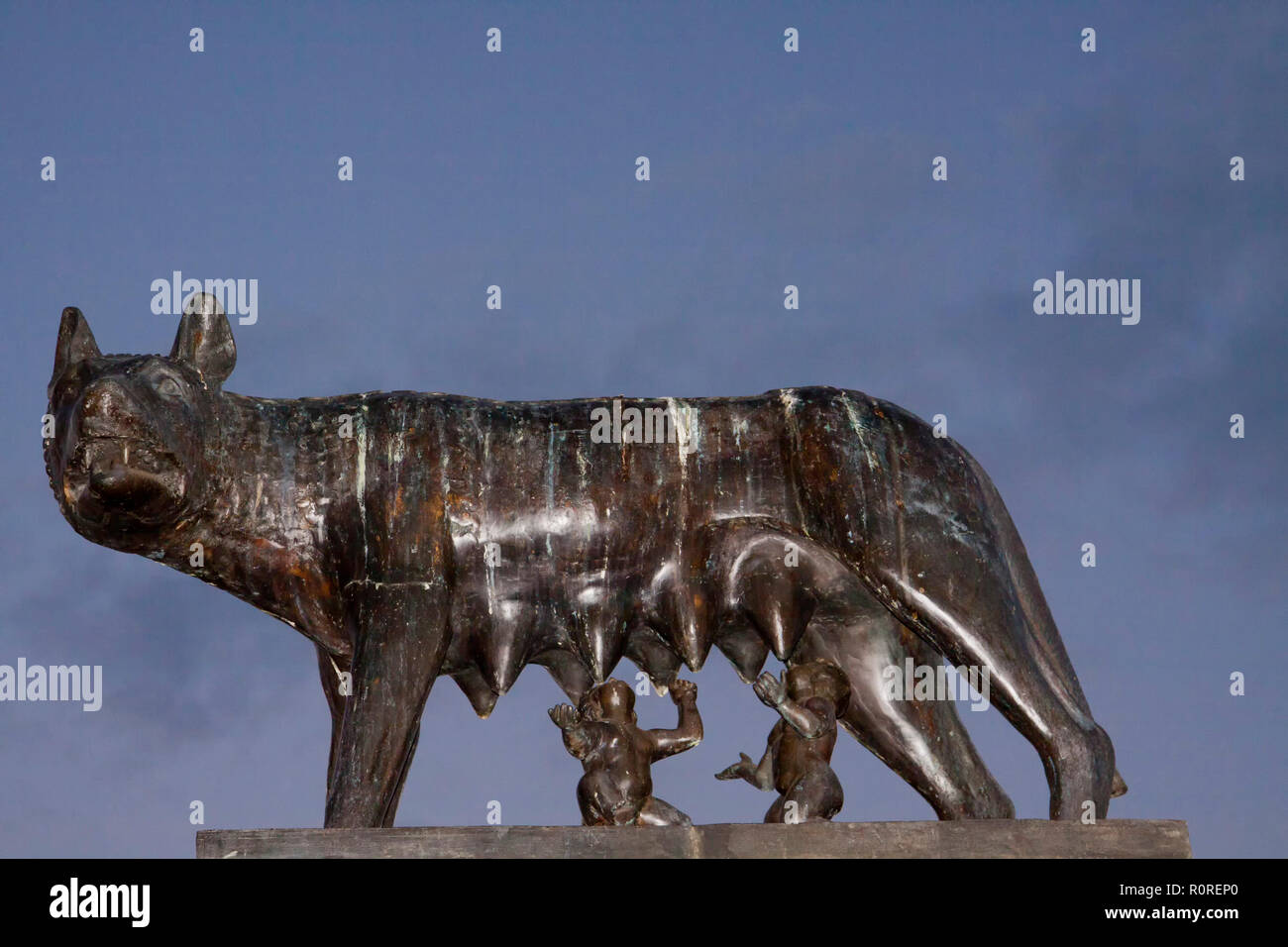 La Lupa Capitolina, Romolo e Remo statua, Constanta, Romania Foto stock -  Alamy