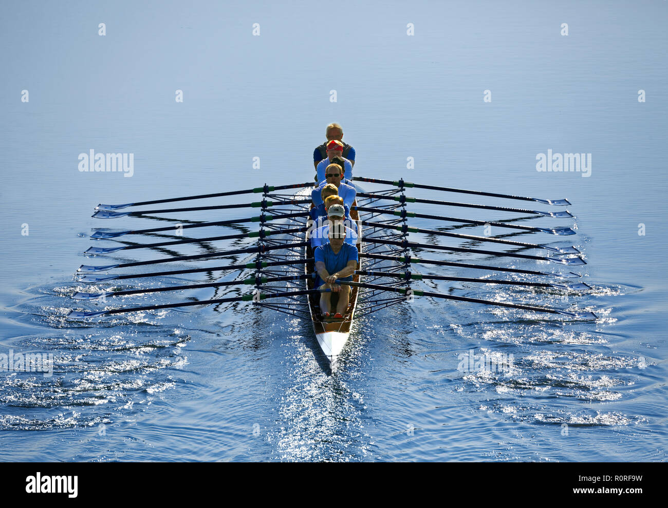 I rematori di canottaggio in barca a remi, otto, principale canale del Danubio, vicino Nürnberg-Katzwang, Media Franconia, Franconia, Baviera, Germania Foto Stock