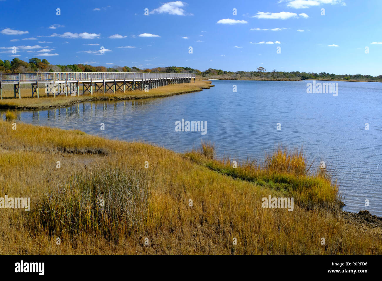 Il salt marsh in Assateague Island National Seashore Park Foto Stock