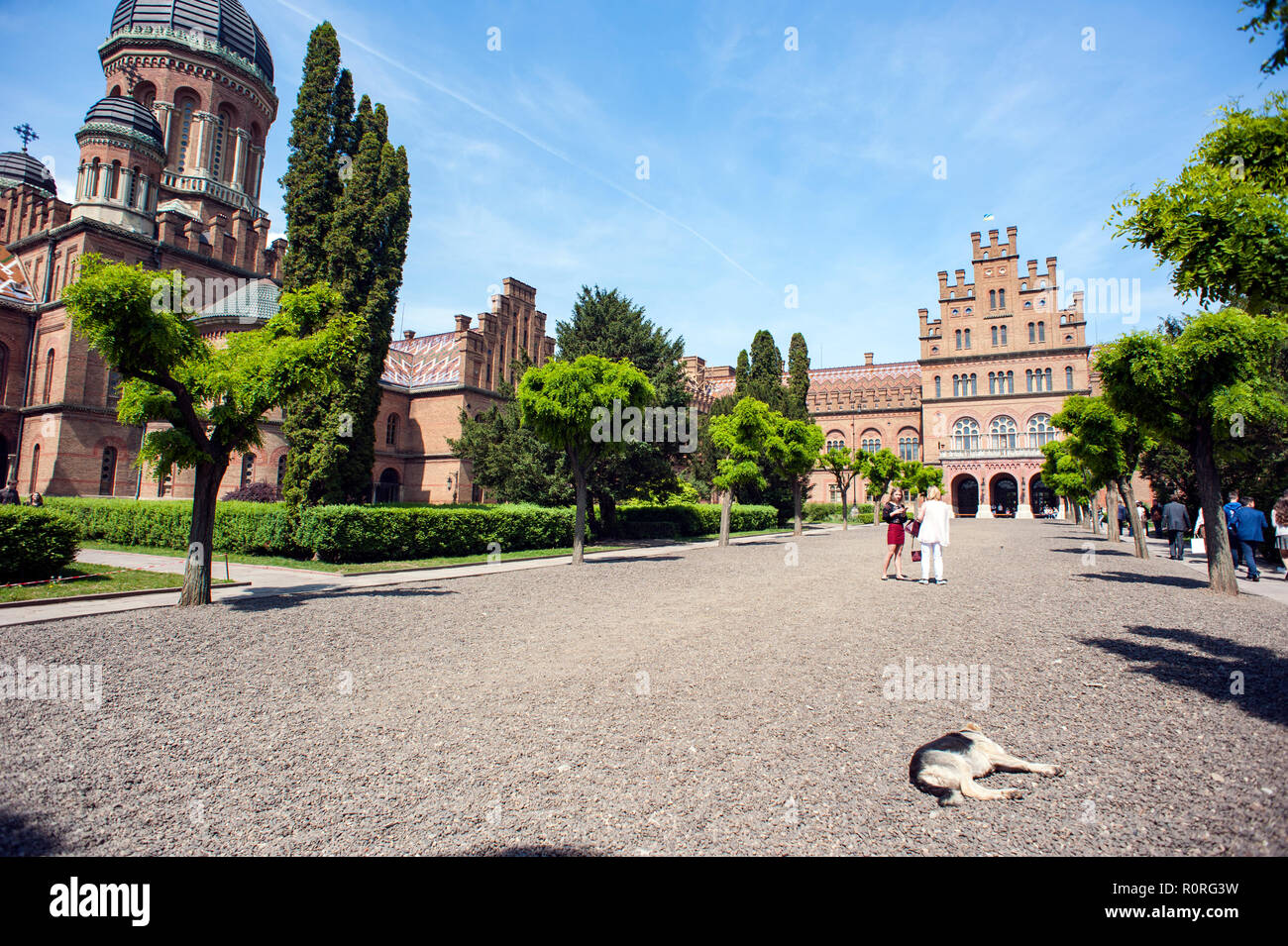 Un cane dorme al di fuori della residenza di Bukovinian e Metropoliti della Dalmazia, ora il Chernivtsi Università Statale di Chernivtsi, Ucraina Occidentale. Foto Stock