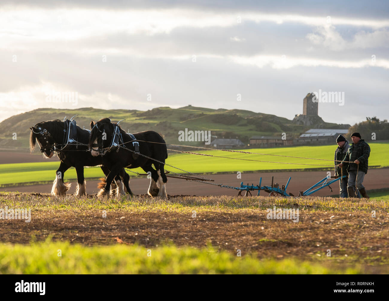 Cavalli,clydesdale,shire,l'aratura,agricoltura,terra,tradizione,evento,fotografia,phil wilkinson Foto Stock