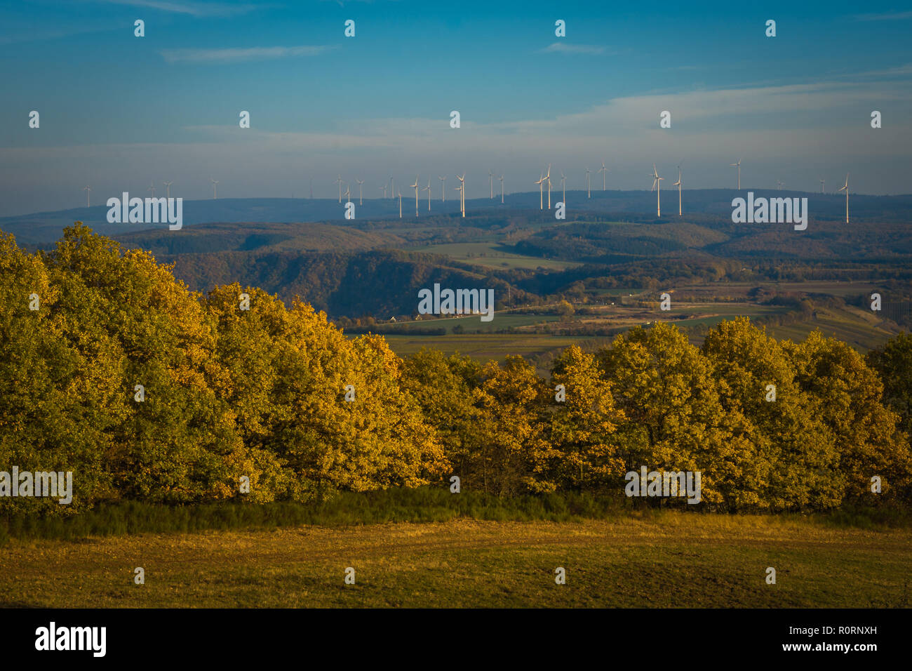 Vista su di una valle verde in Germania Foto Stock