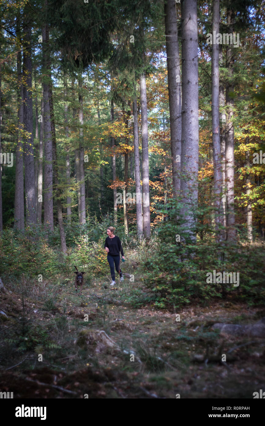 Giovane donna trekking attraverso la foresta con un cane boxer al suo fianco Foto Stock