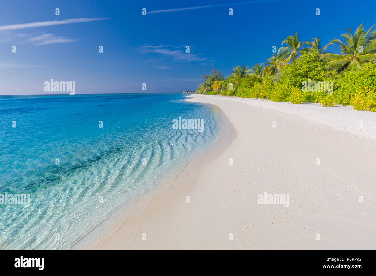 Uno scenario tranquillo, rilassante beach, paesaggio tropicale di design. Estate vacanze viaggi vacanza design. Il turismo di lusso di destinazione. Incredibile scena di spiaggia Foto Stock