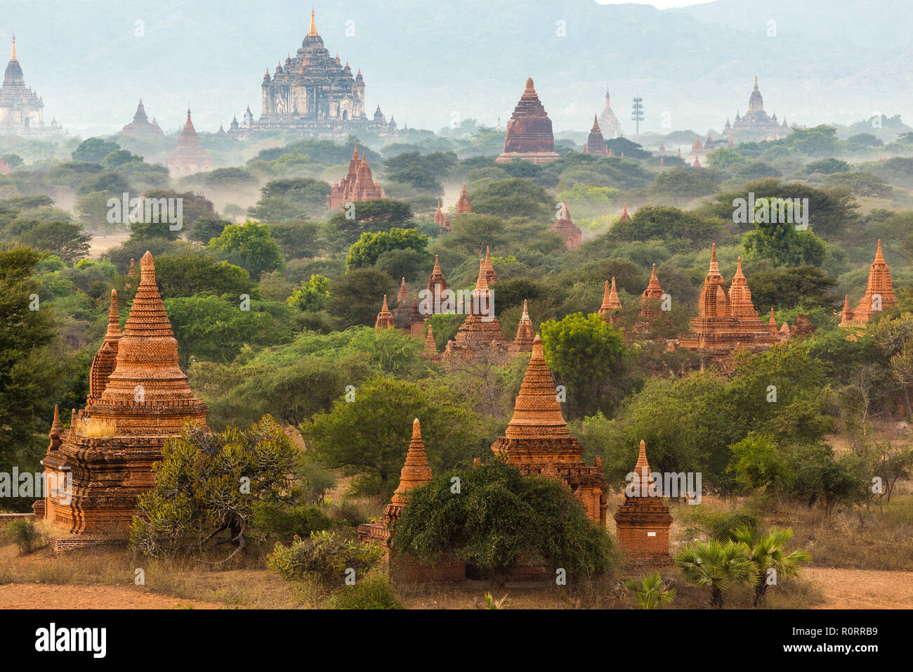 Pagoda paesaggio nella pianura di Bagan, Myanmar (Birmania) Foto Stock