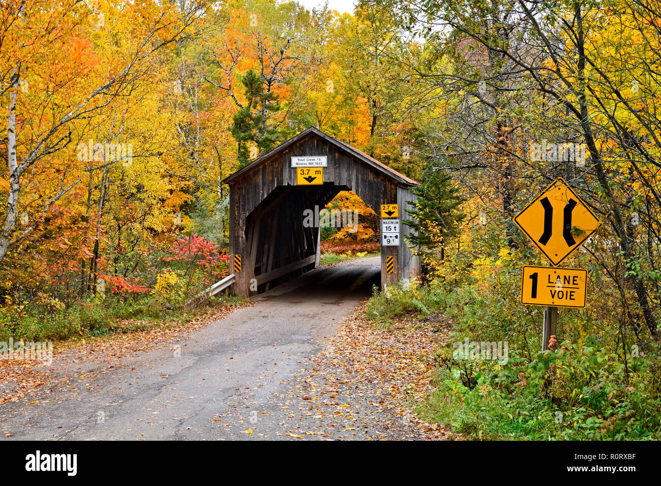 Un autunno immagine orizzontale di un iconico ponte coperto attraversando la trota torrente su un territorio rurale strada di ghiaia vicino a Sussex New Brunswick Canada. Foto Stock