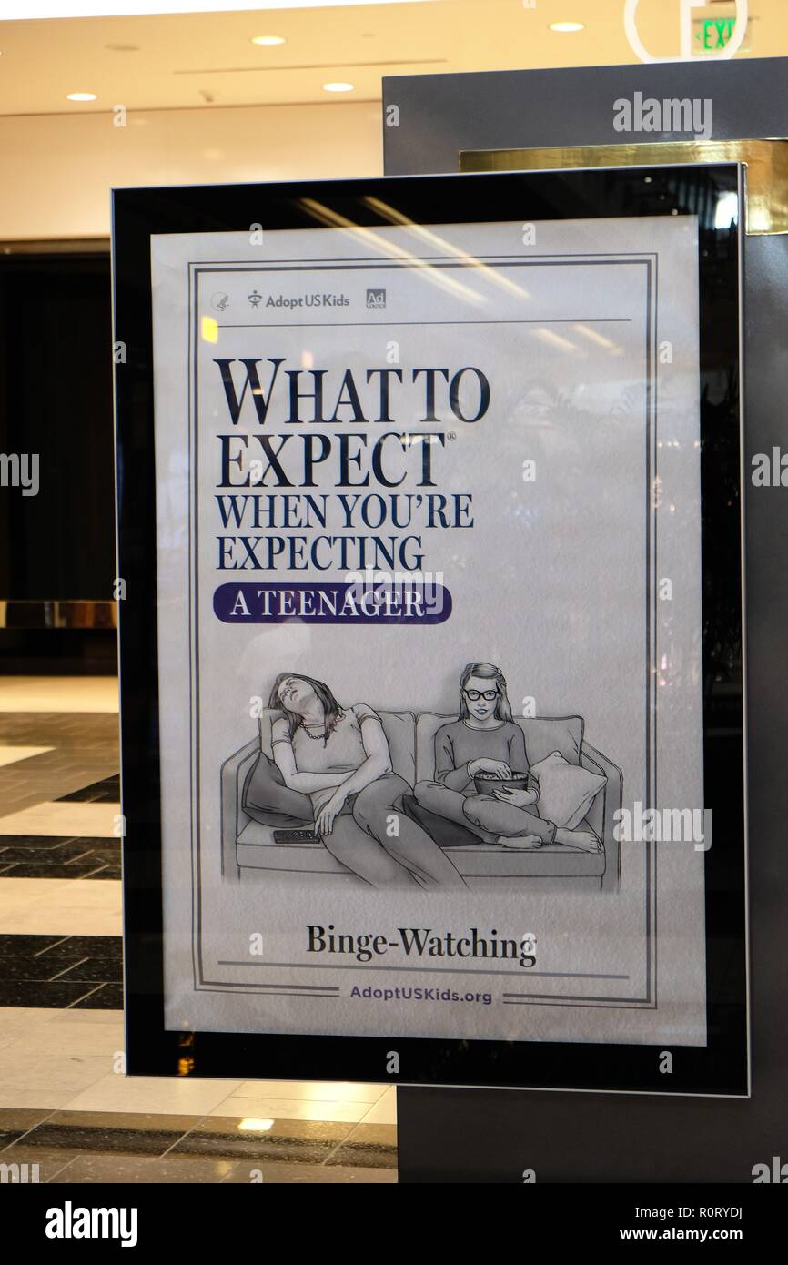 Comico agenzia di adozioni poster che imita la cosa aspettarsi quando stai aspettando serie, focalizzata su adolescenti e le loro abitudini; binge guardando la TV. Foto Stock