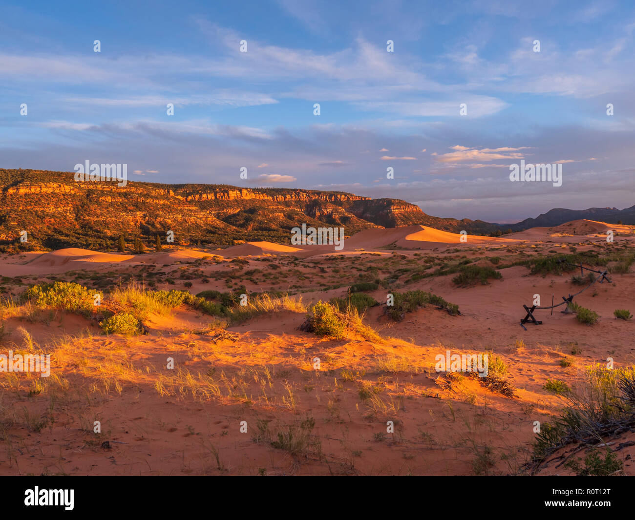 Dune al tramonto, Coral Pink Sand Dunes State Park, Kanab, Utah. Foto Stock