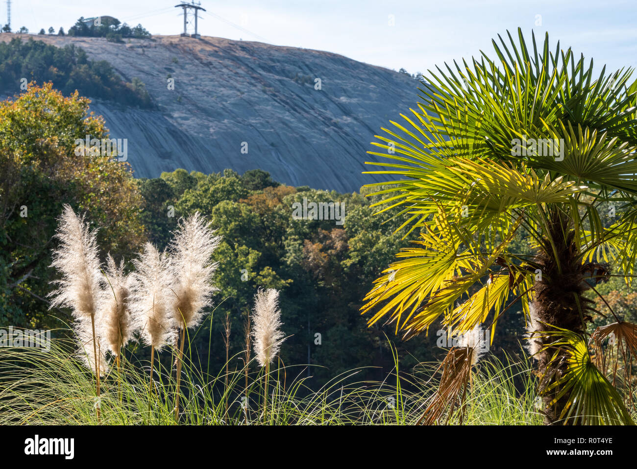 Stone Mountain Park, Atlanta, Georgia. (USA) Foto Stock