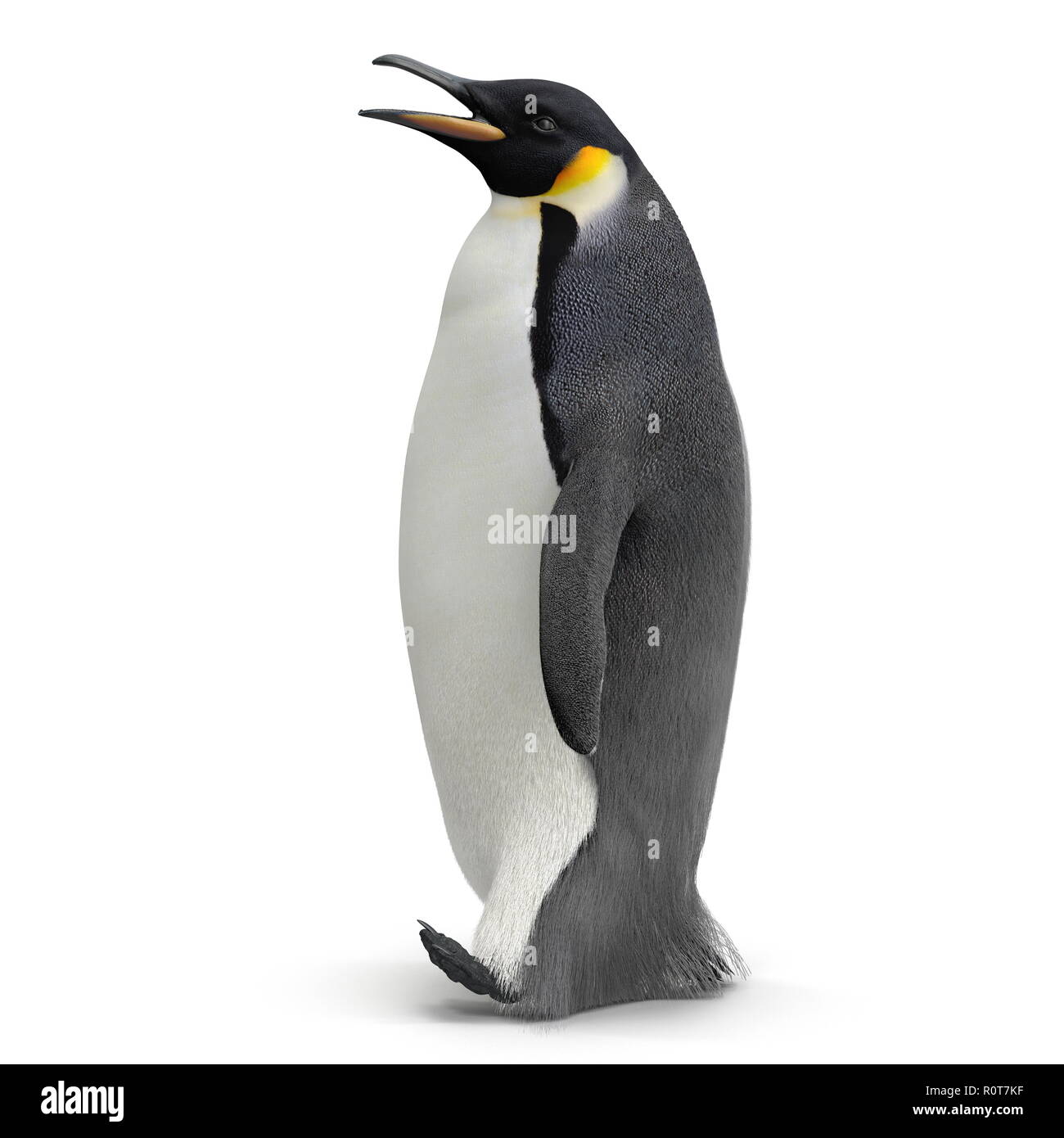 Pinguino reale isolato su bianco. 3D illustrazione Foto Stock