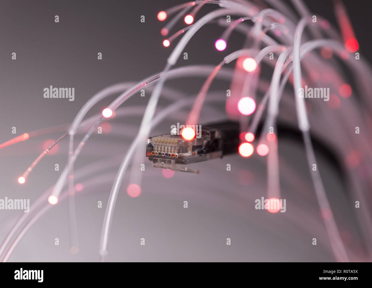 Netzwerkkabel, Server Foto Stock